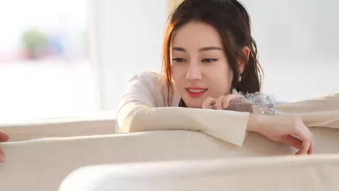 广东种猴面包树