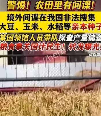 间谍搜集亲本种子